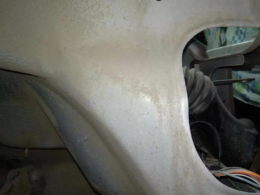 Body condition before cleaning