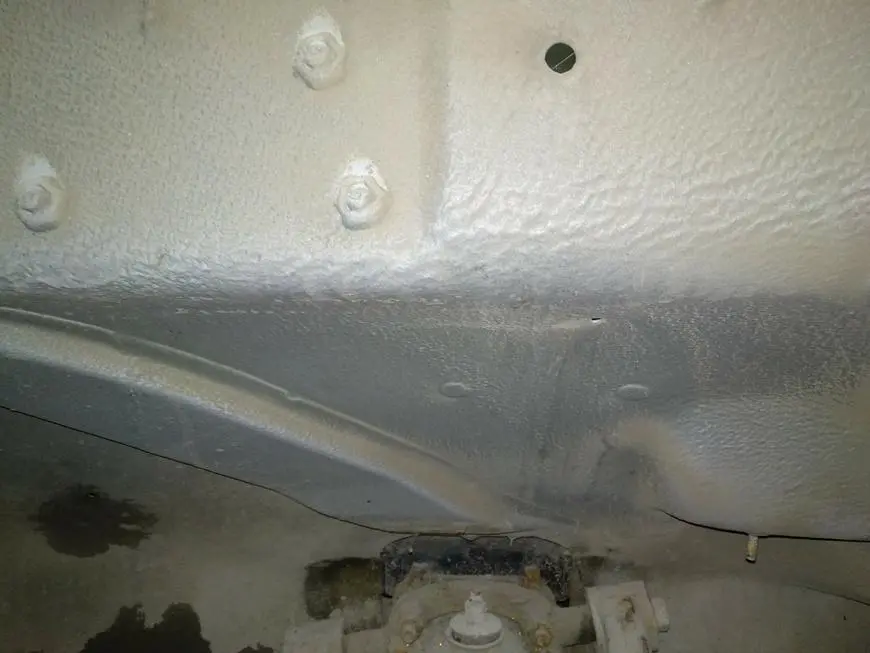 Body condition before cleaning