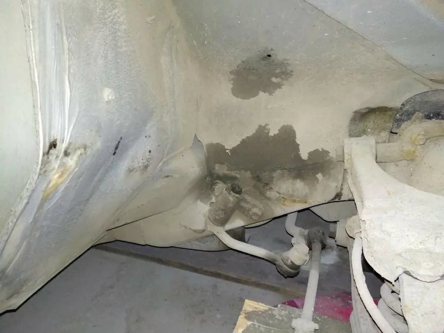 Body condition before cleaning