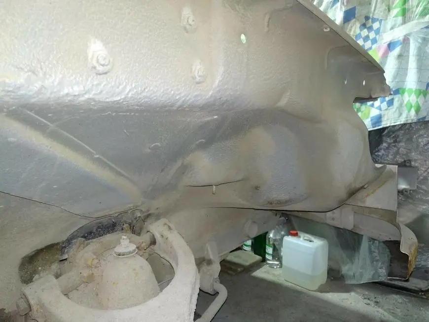 Body condition before cleaning
