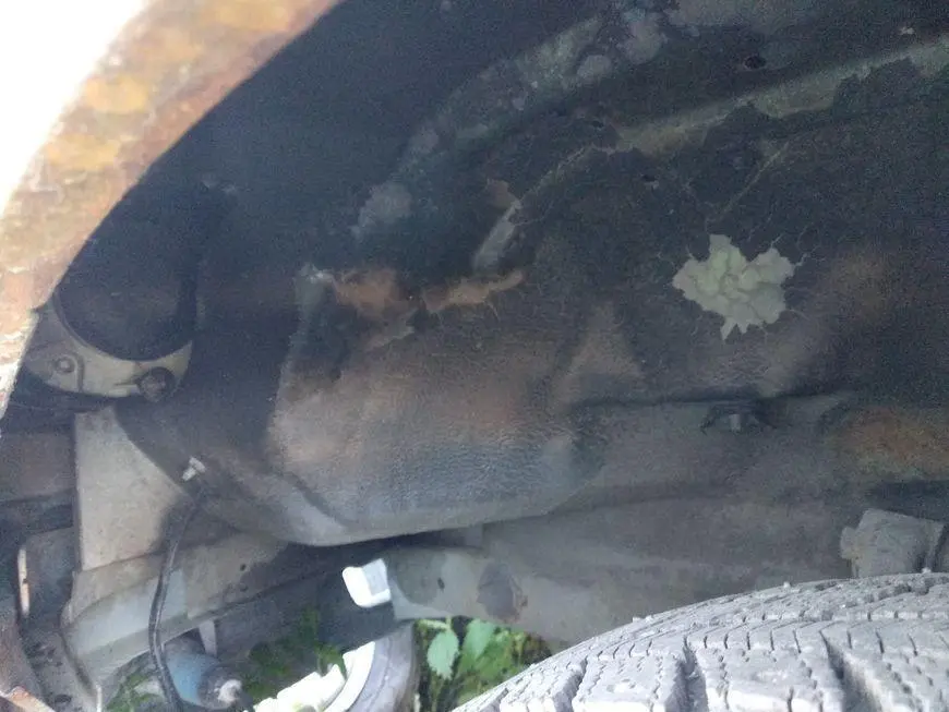 Left front fender interior and engine mudguard